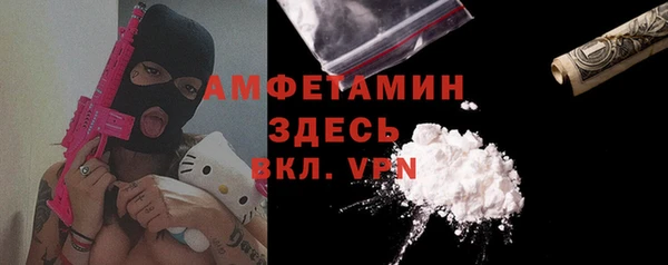 гидра Михайловка