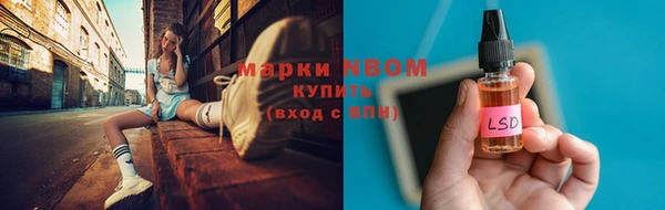прущие грибы Медногорск