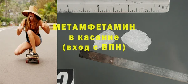 прущие грибы Медногорск