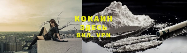 гидра Михайловка
