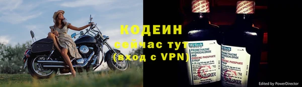 прущие грибы Медногорск