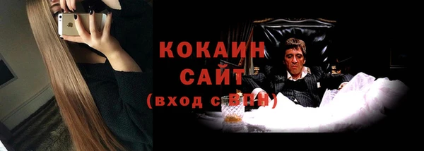 прущие грибы Медногорск