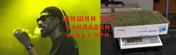 прущие грибы Медногорск