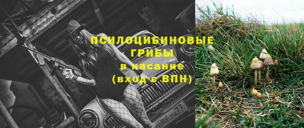дживик Медвежьегорск