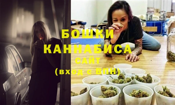 прущие грибы Медногорск