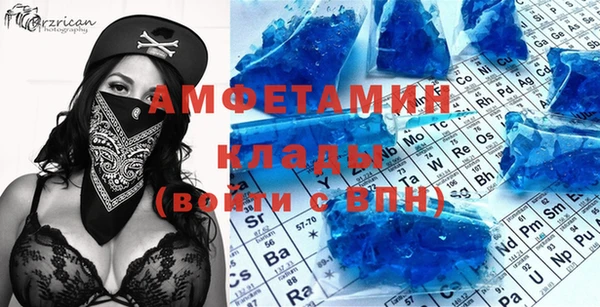 прущие грибы Михайловск