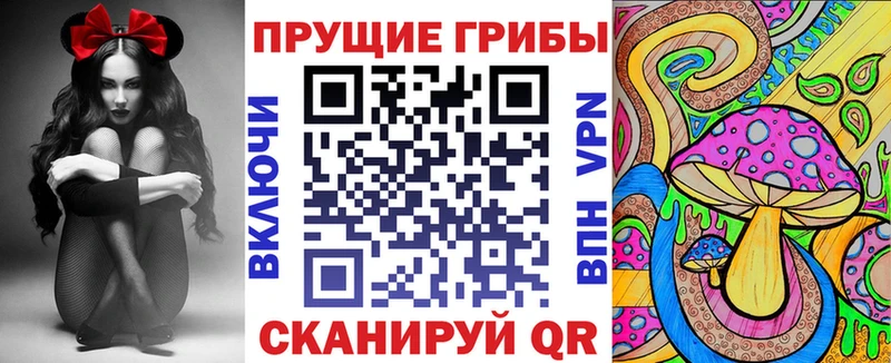 Псилоцибиновые грибы Psilocybe  Мончегорск 