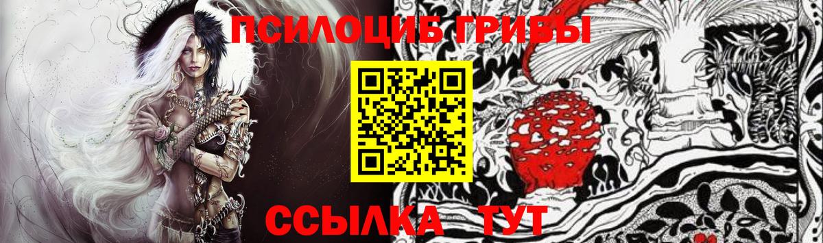 как найти закладки  Псилоцибиновые грибы мухоморы  Мончегорск  Вход с VPN  Псилоцибиновые грибы Psilocybine cubensis 