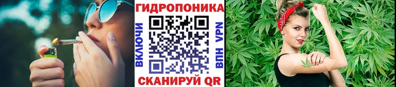 Каннабис семена  Мончегорск 